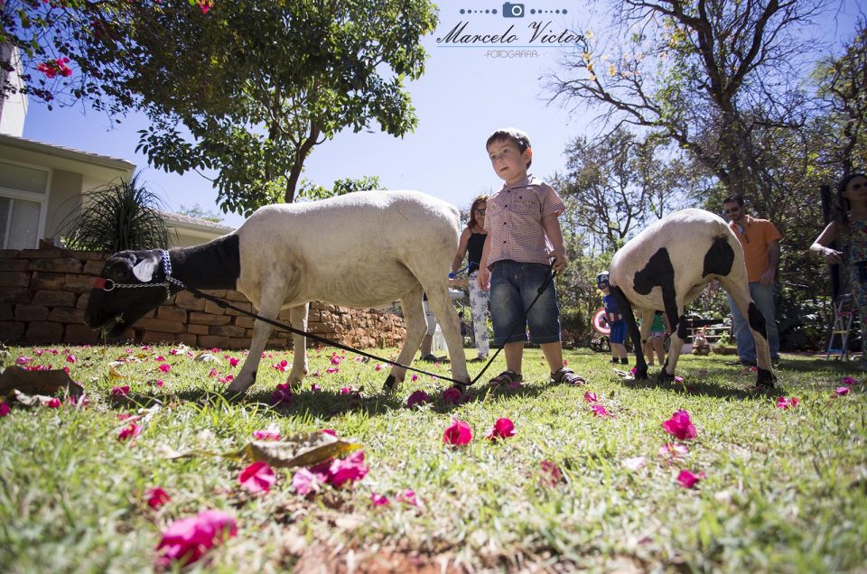 Gabriel – 3 anos